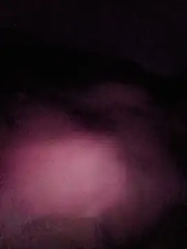 Snapshot of White_chocolate69 chatting on December 21, 2025, 2:35 pm White chocolate69 online show from December 21, 2025, 2:35 pm