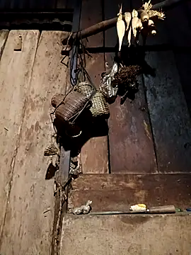 -Chua-90 online show from February 9, 2026, 11:36 am