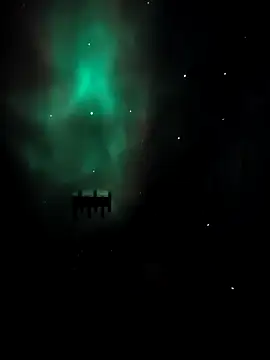 arcacsel online show from November 24, 2025, 10:53 pm