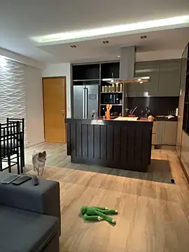 BelleRune online show from January 1, 2025, 7:43 pm