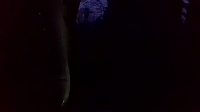 dickencidr online show from March 19, 2026, 12:14 am