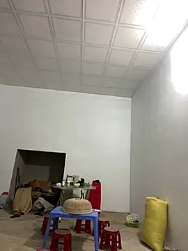 pitty mymi online show from March 17, 2026, 11:19 pm