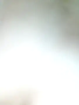 Snapshot of Pxrani chatting on November 17, 2025, 3:29 pm Pxrani online show from November 17, 2025, 3:29 pm