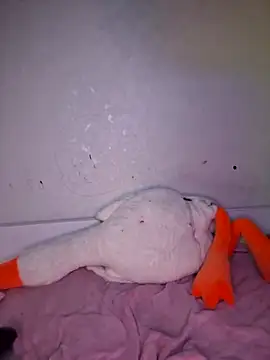 carolinakis  online show from February 20, 2026, 7:36 pm