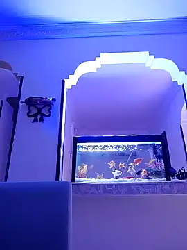 karlatasty online show from November 18, 2025, 4:11 pm