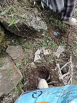 Pampirara online show from March 21, 2026, 3:11 am