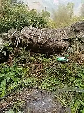 Pampirara online show from March 26, 2026, 8:53 am