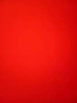 Bold Quinn online show from February 12, 2026, 3:07 pm