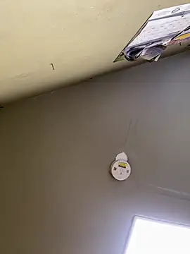 24denio online show from March 7, 2026, 1:52 pm