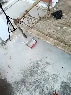 apka rockstarr online show from November 27, 2025, 9:11 am