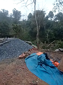 nangmo online show from February 5, 2026, 12:26 am