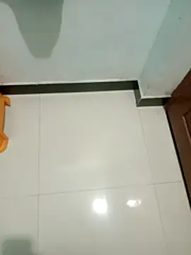 telugu-cutesana online show from January 8, 2026, 1:02 pm