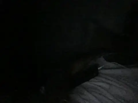 modiji 999 online show from March 5, 2026, 10:39 pm