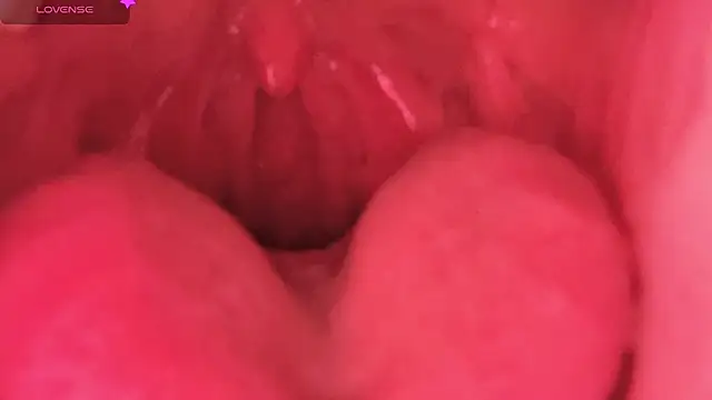 LT-333 online show from February 7, 2026, 8:45 pm