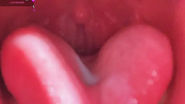 LT-333 online show from February 25, 2026, 5:11 pm