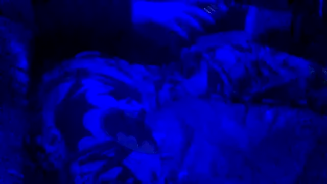 Snapshot of joshbrown699 chatting on November 30, 2025, 5:11 am joshbrown699 online show from November 30, 2025, 5:11 am