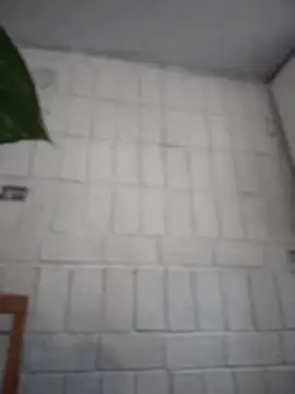 LuXarumi online show from December 16, 2025, 7:52 pm