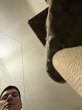 CharlyAlfa22 online show from February 11, 2026, 11:21 pm