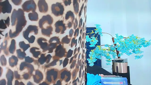 Velora nigth online show from April 7, 2026, 11:43 am