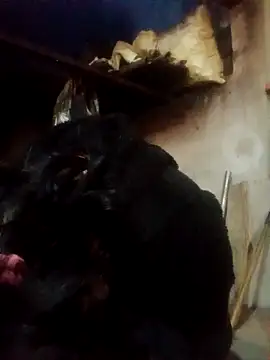 Amiluli online show from March 2, 2026, 12:23 pm