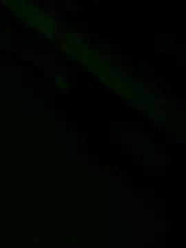 zoodangermind online show from May 17, 2026, 12:08 am