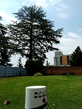 PetiteDoll 06 online show from February 21, 2026, 11:55 am