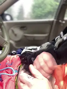 Snapshot of Ldnick69 chatting on March 24, 2026, 5:40 pm Ldnick69 online show from March 24, 2026, 5:40 pm