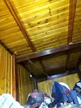 neko-nancy online show from March 12, 2026, 1:01 am