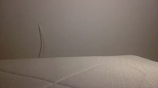 Palinchik online show from February 1, 2026, 10:41 pm