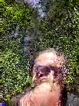 Andypie6 online show from January 13, 2026, 2:39 am