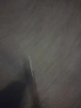 marcoboss online show from April 16, 2026, 9:50 pm