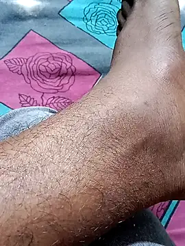 Nick universal online show from January 15, 2026, 3:55 am