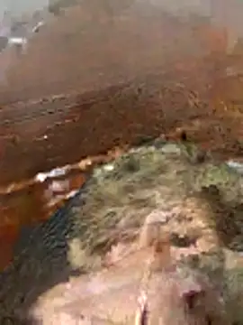 katiyvy online show from February 16, 2026, 7:10 pm