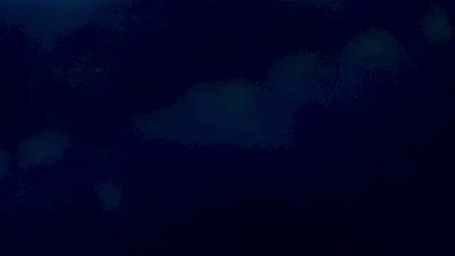 Sthefanyx2 online show from March 4, 2026, 1:00 am