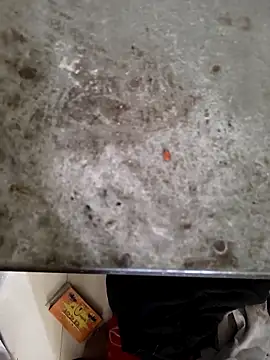 Snapshot of Niteenku chatting on March 28, 2026, 11:10 am Niteenku online show from March 28, 2026, 11:10 am