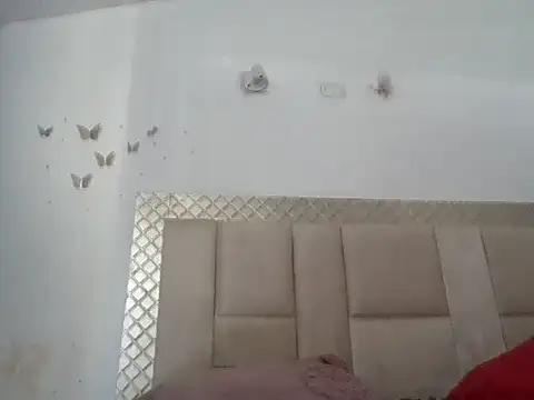 danylush online show from February 14, 2026, 8:27 pm