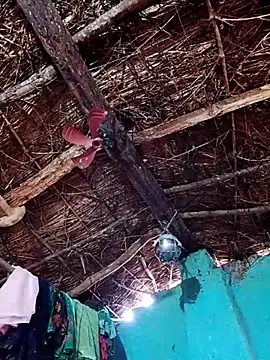 Rajni hote online show from February 13, 2026, 5:14 am