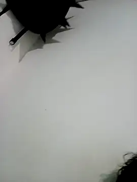 Snapshot of thonychatoA357 chatting on February 8, 2026, 12:19 pm thonychatoA357 online show from February 8, 2026, 12:19 pm