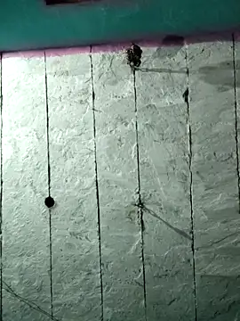 Mehjab Love online show from April 2, 2026, 4:04 pm