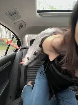 Snapshot of mo-mo-69 chatting on April 3, 2026, 2:09 am mo-mo-69 online show from April 3, 2026, 2:09 am