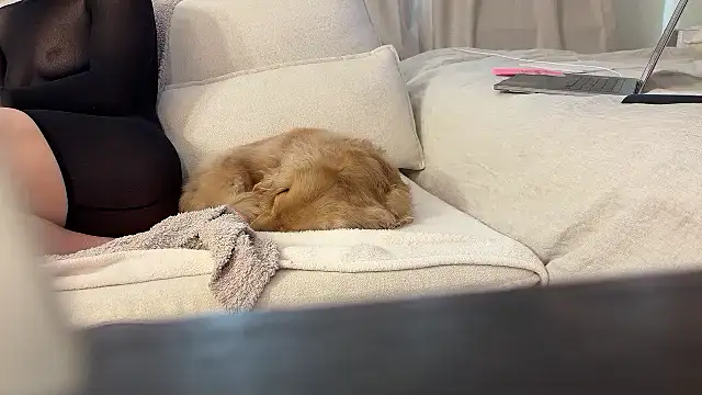 Ambrrr online show from April 11, 2026, 8:02 pm