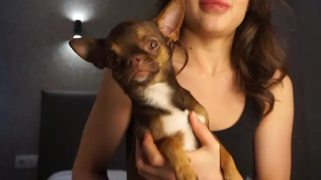 linclars online show from March 6, 2026, 1:40 pm