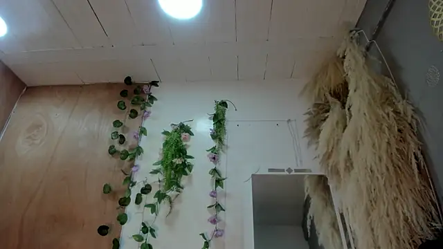 Snapshot of Alice_randyy chatting on February 10, 2026, 1:04 pm Alice randyy online show from February 10, 2026, 1:04 pm