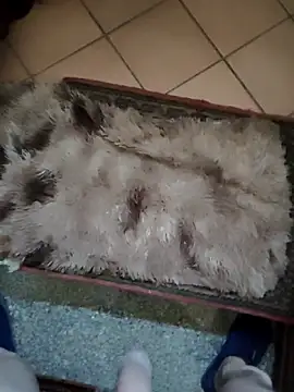 Snapshot of TAMI61 chatting on March 25, 2026, 2:45 pm TAMI61 online show from March 25, 2026, 2:45 pm