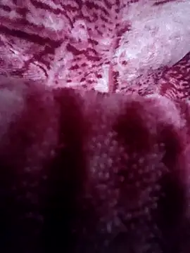 Pagelboy 089 online show from February 11, 2026, 1:10 am