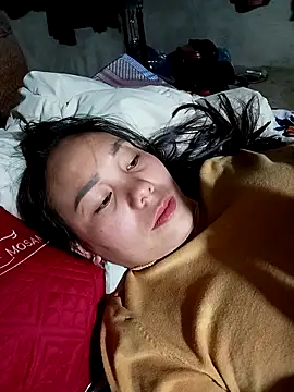 Snapshot of vanvan005 chatting on February 12, 2026, 12:16 am vanvan005 online show from February 12, 2026, 12:16 am