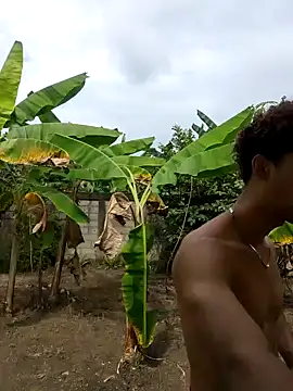 Wild and Sweets online show from January 18, 2026, 6:23 pm