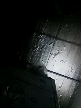 Sana-vn online show from March 24, 2026, 11:43 pm