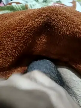  chota bunny  online show from February 3, 2026, 7:57 am