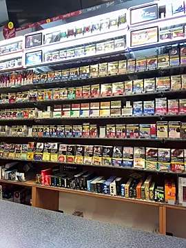 Dominic2295 online show from February 3, 2026, 4:54 am